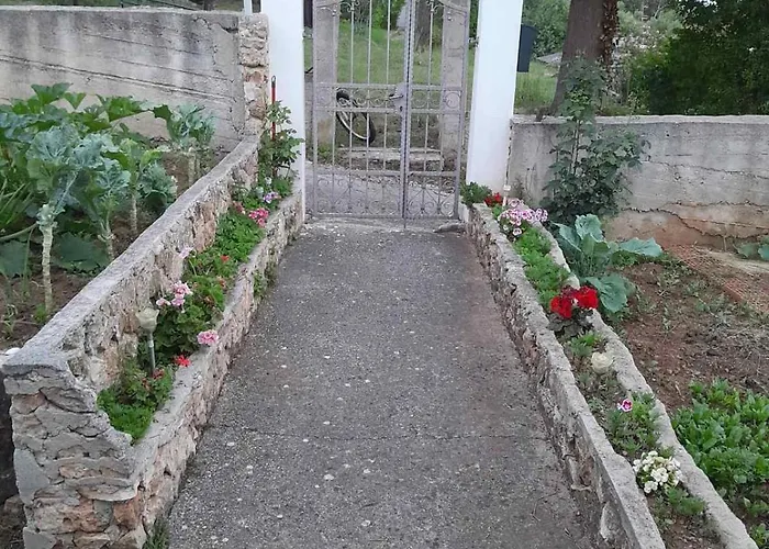 Zafranovic Appartement *